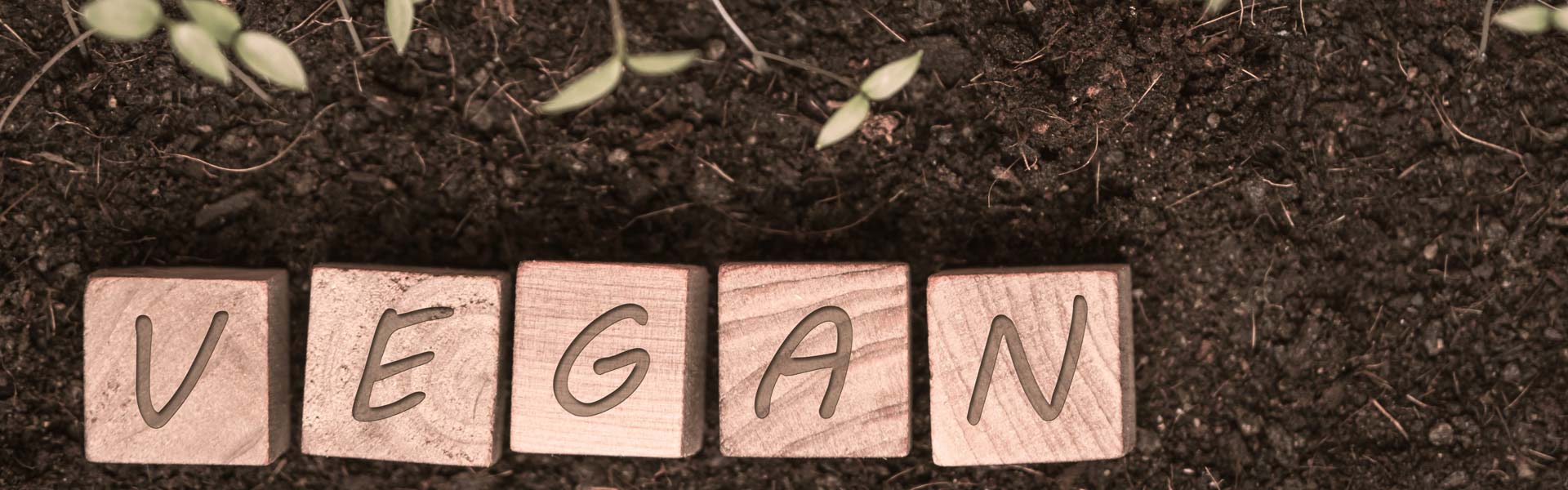 vegan-belgelendirme vegan-belgesi-anasayfa