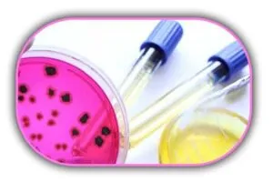 Aerobik-Koloni-Sayımı