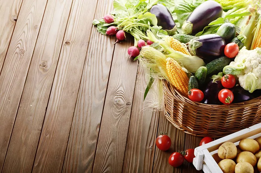 vegan belgesi toem kalite