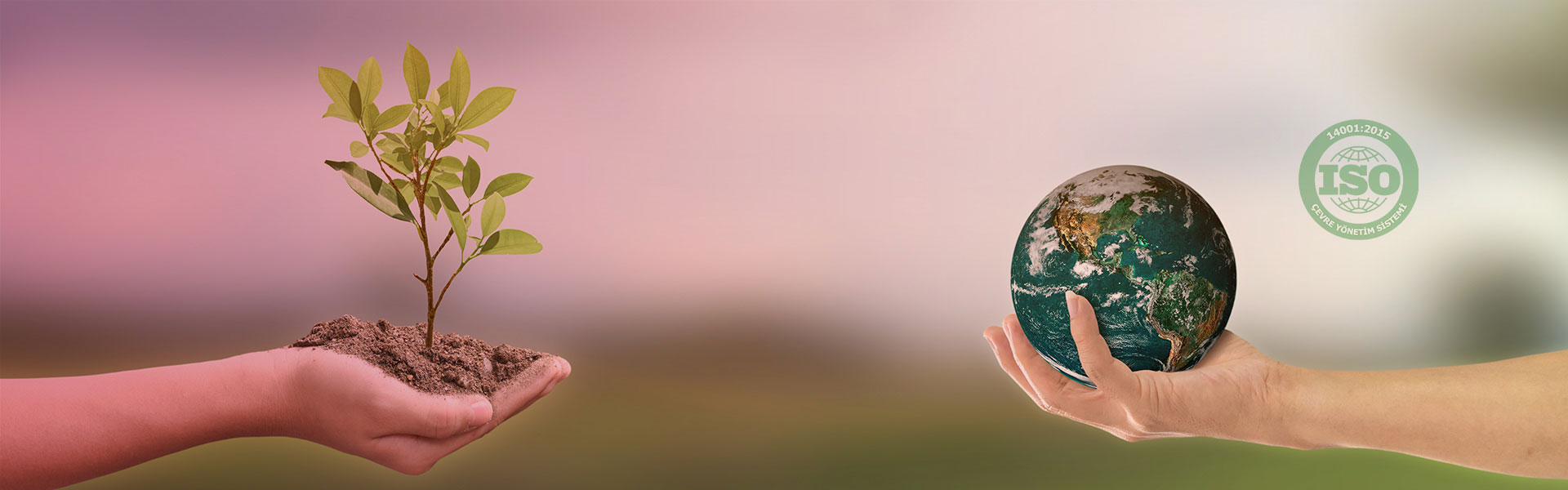 Toem Kalite belgelendirme ve danışmanlık