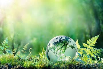 iso 14001:2015 revizyon eğitimi